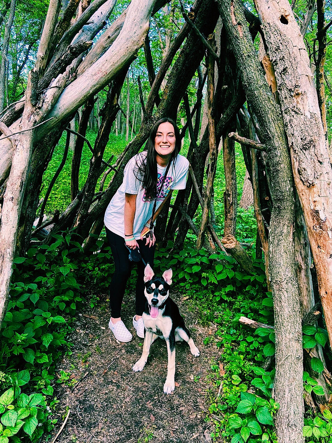 Nala joined the competition — help win amazing prizes! adventure, canidae, carnivore, dog, dog_hiking, forest, hiking, jungle, non_sporting_group, plant, tree, treeing_walker_coonhound, walking, woodland, woody_plant