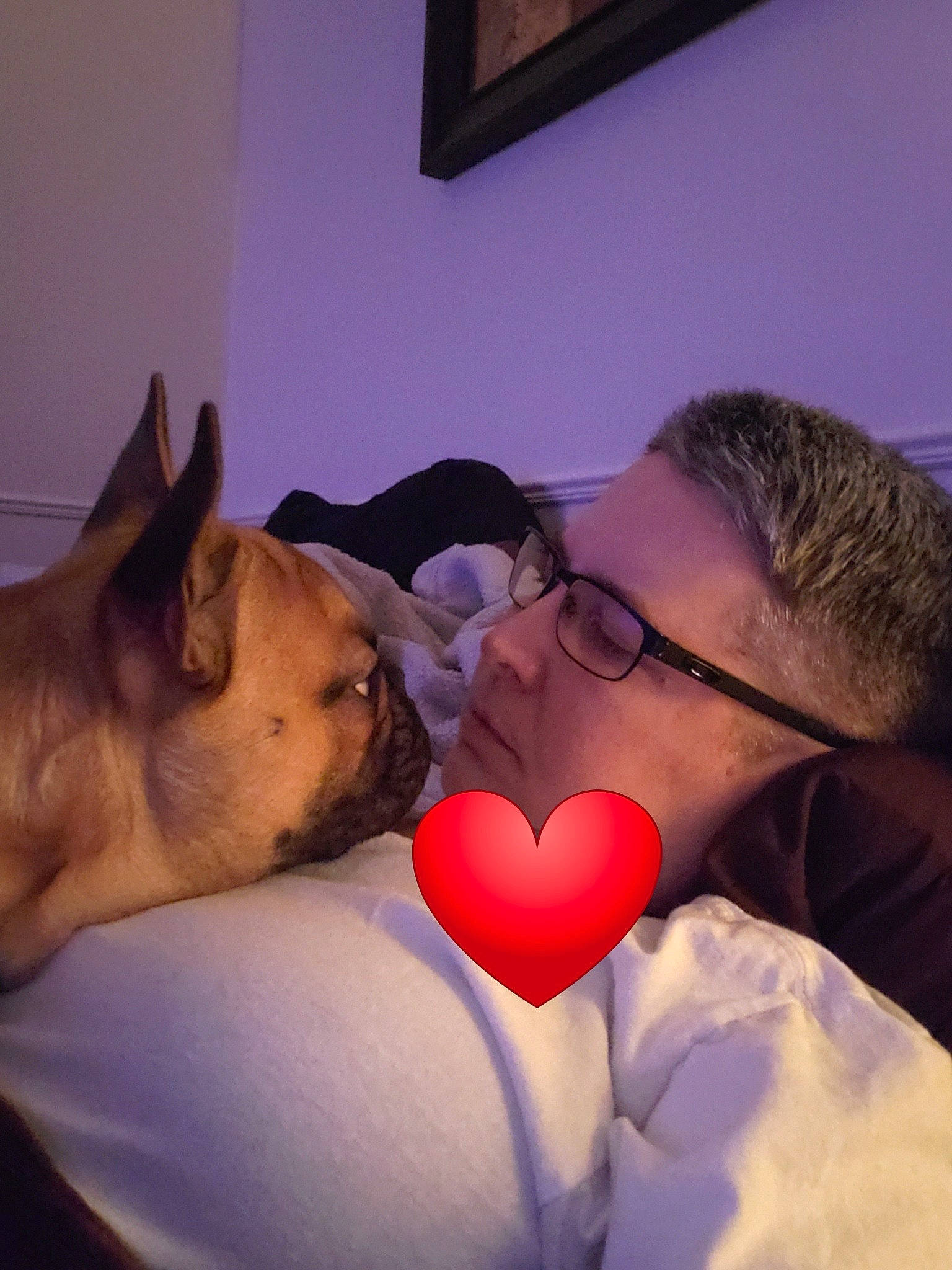 Goose is registered to the contest to win money with this photo: abdomen, carnivore, comfort, companion_dog, dog, dog_breed, ear, event, eyewear, fawn, fun, fur, glasses, human_body, mammal, mouth, picture_frame, selfie, vision_care, whiskers