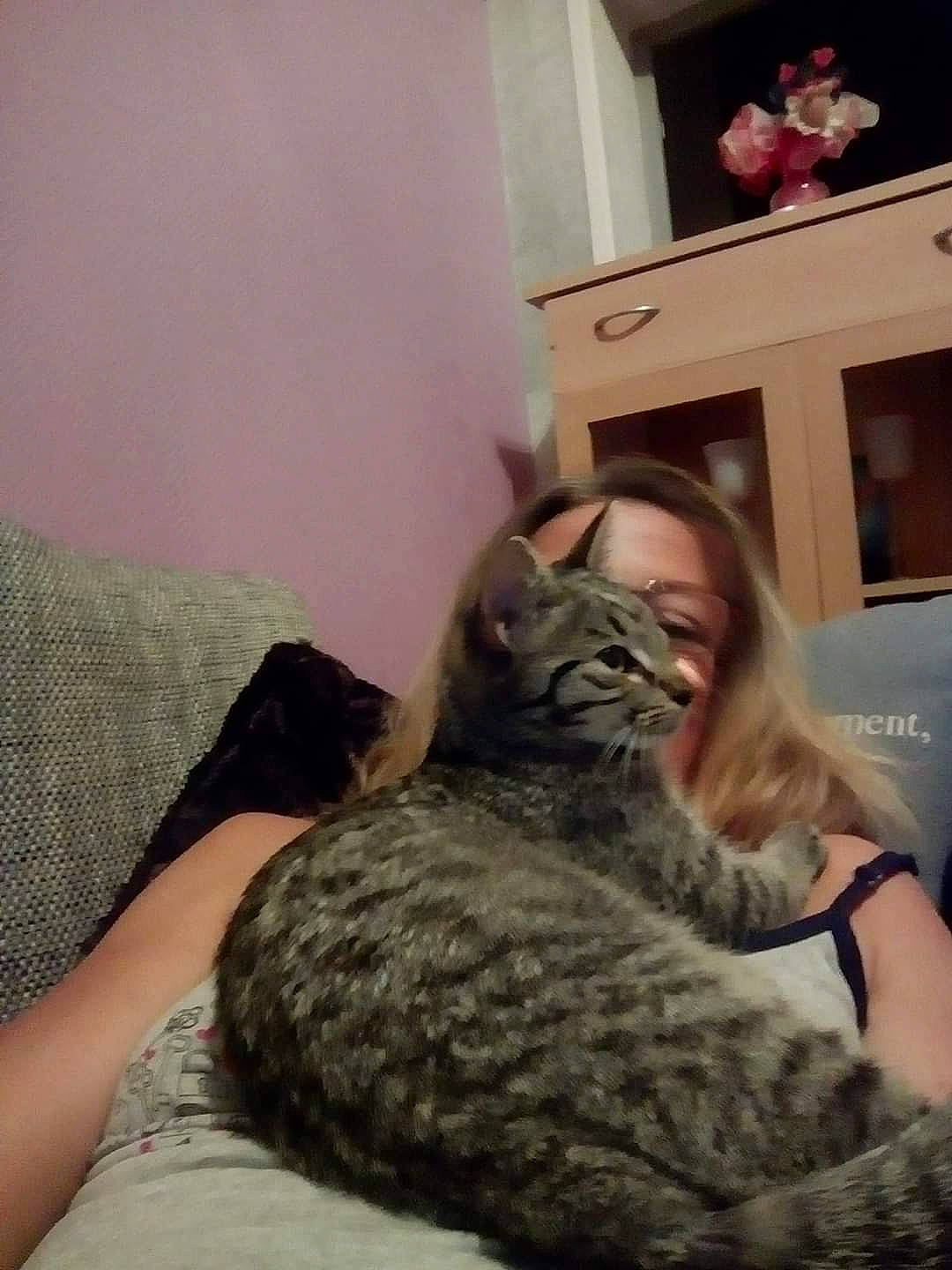 Tigresse a rejoint le concours — aidez-le/la à gagner de superbes lots ! american_shorthair, asian, california_spangled, carnivore, cat, domestic_short_haired_cat, dragon_li, ear, egyptian_mau, european_shorthair, felidae, fur, kitten, pixie_bob, small_to_medium_sized_cats, tabby_cat, whiskers