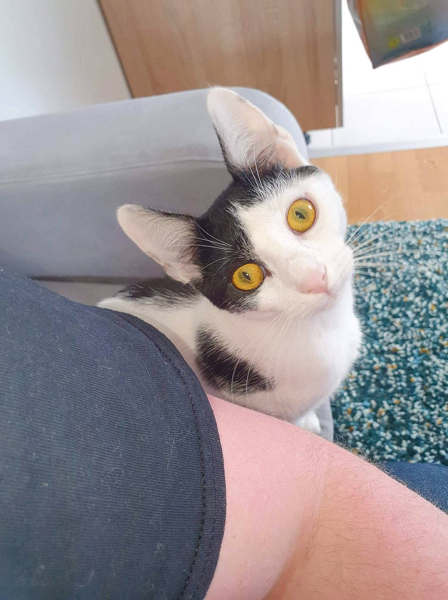 Rosie