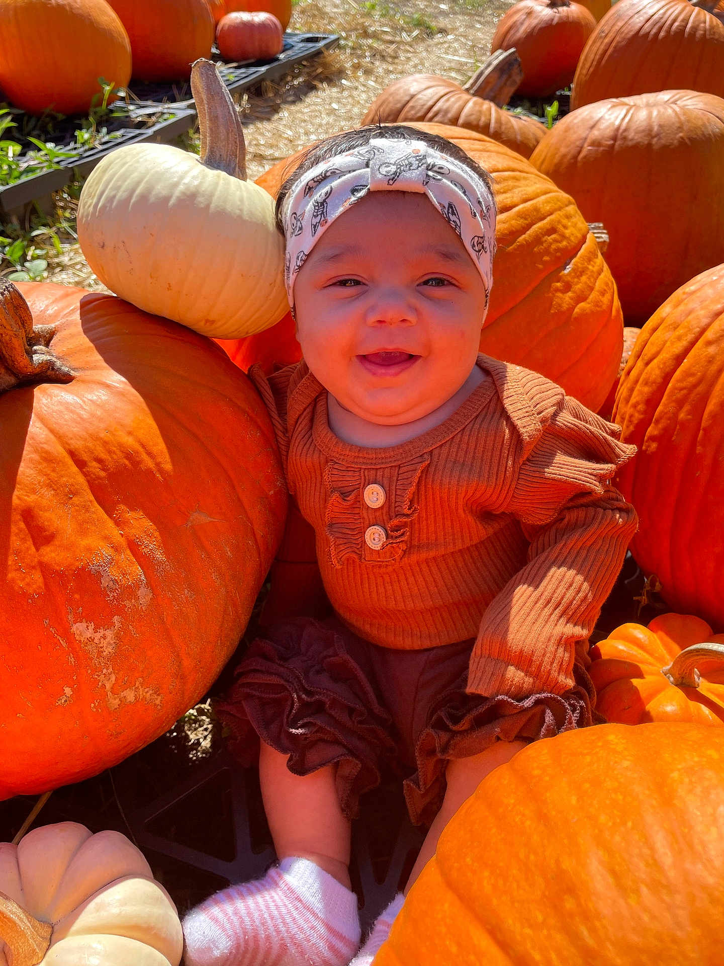 Davina joined the competition — help win amazing prizes! baby, pumpkin, orange, white_pumpkin, headband, smiling, outdoor, fall, autumn, child, cute, clothing, sock, sitting, nature, harvest, festive, sunlight, garden, happy
