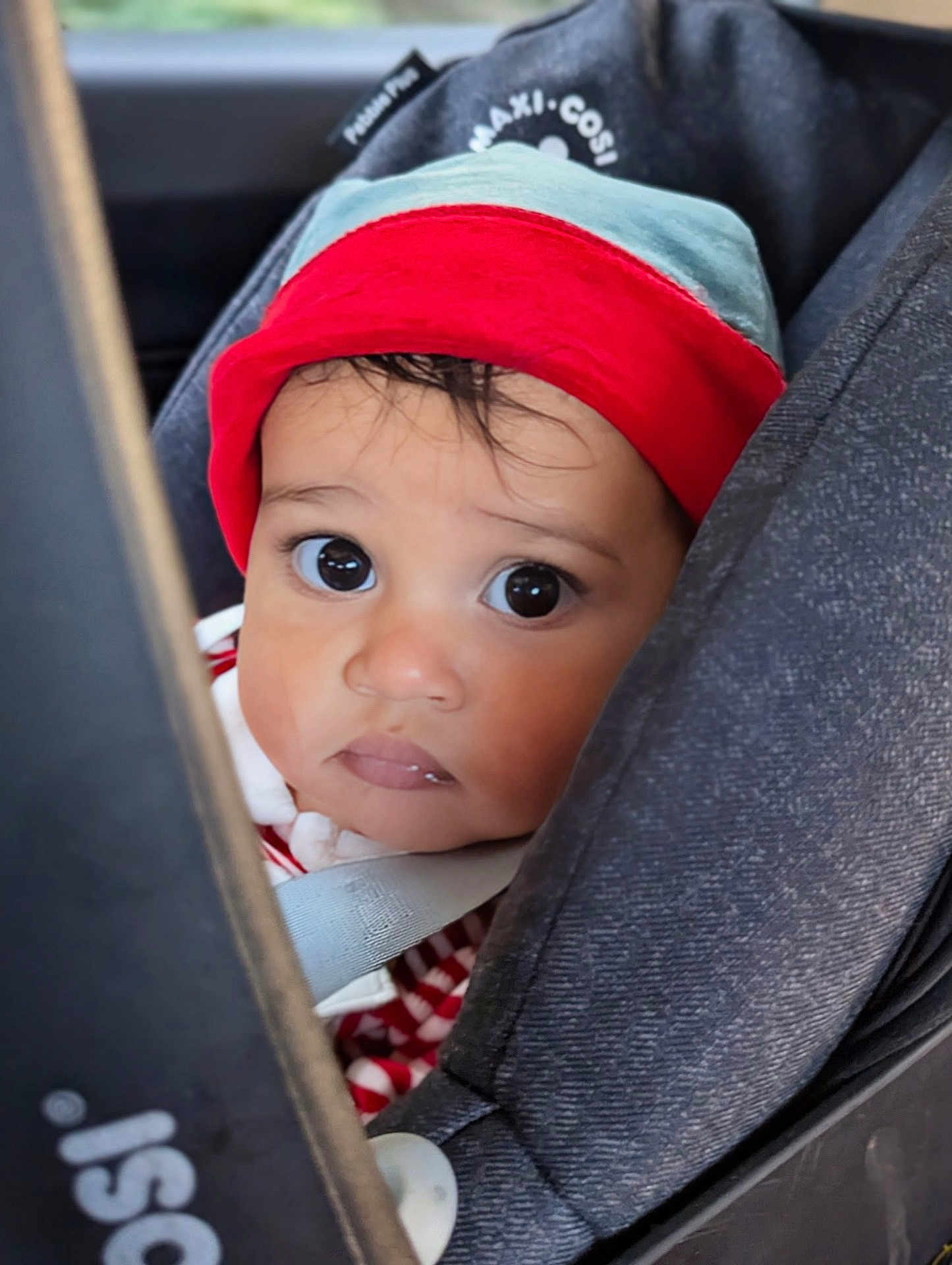 Oshi joined the competition — help win amazing prizes! baby, blue, car_seat, child, closeup, clothing, curious, face, hat, indoors, infant, person, portrait, red, safety, seatbelt, straps, transportation, wide_eyes, young_child