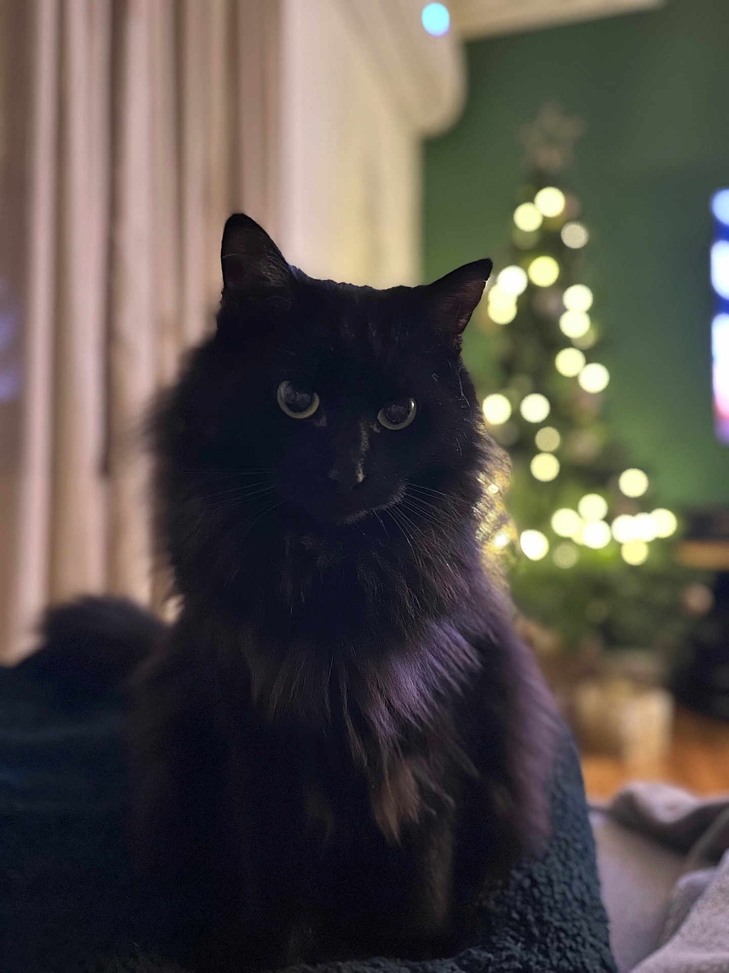 Luna