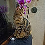 cables, cat, closeup, curious, decor, feline, flower, houseplant, indoor, laptop, orchids, pet, reflection, sitting, striped, tabby_cat, technology, wall_hanging, window, wooden_surface