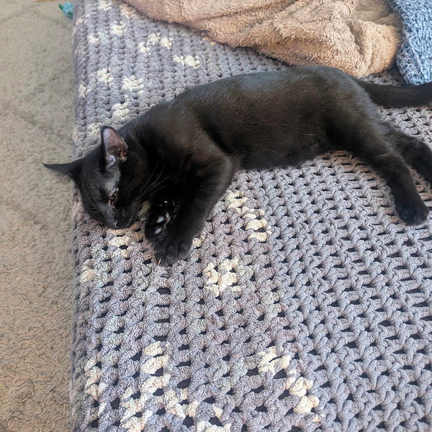 Milo