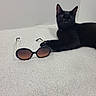 Milo is registered to the contest to win money with this photo: animal, black_cat, black_fur, carpet, cat, ears, eyewear, fashion, feline, funny, home, indoor, lounging, lying_down, pet, portrait, relaxed, sleepy, sunglasses, whiskers