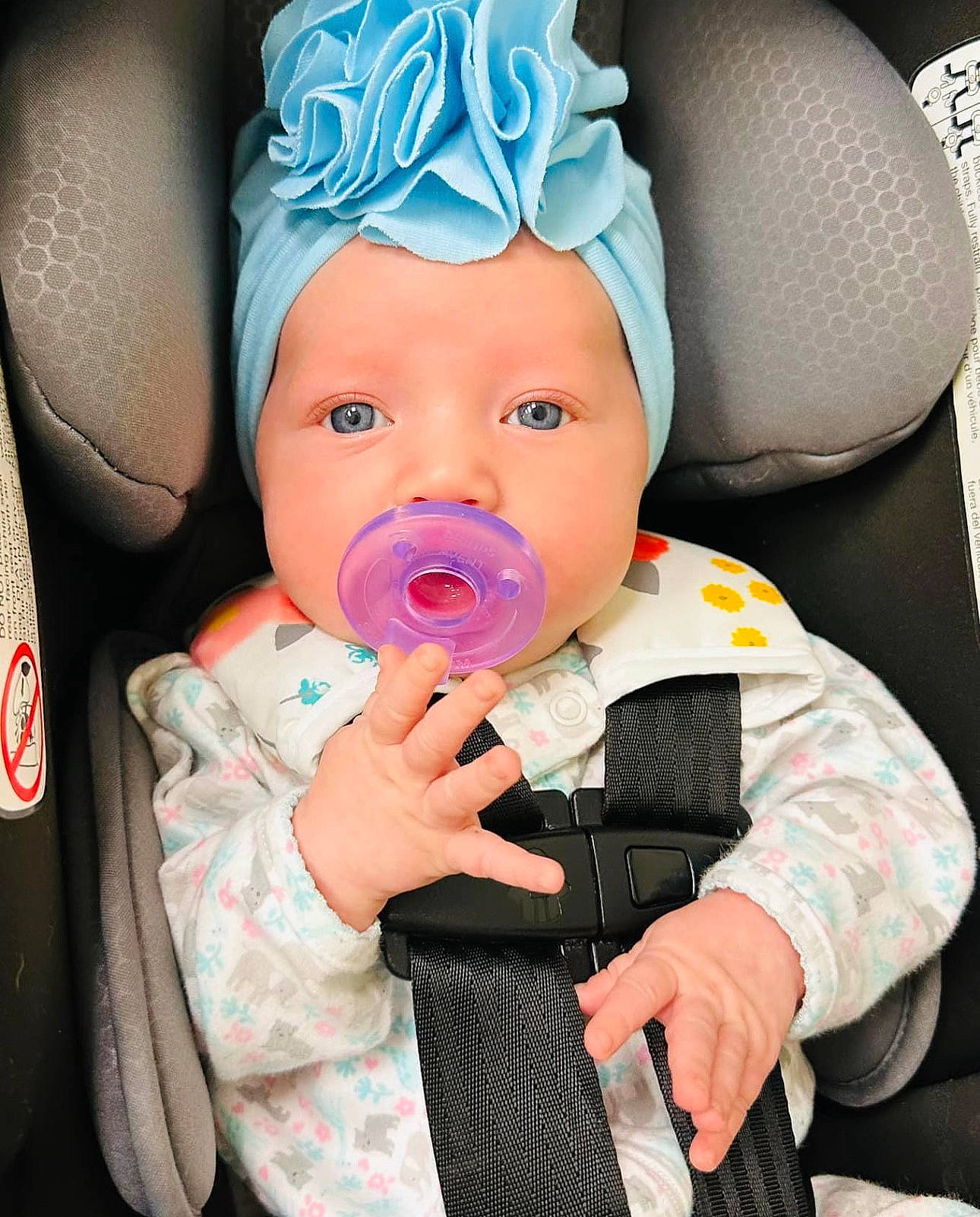 Falynn is registered to the contest to win money with this photo: auto_part, baby, baby_in_car_seat, baby_products, baby_safety, baby_toddler_clothing, car_seat, cheek, child, drinkware, eyelash, finger, gesture, hand, happy, headwear, human_body, person, pink, skin