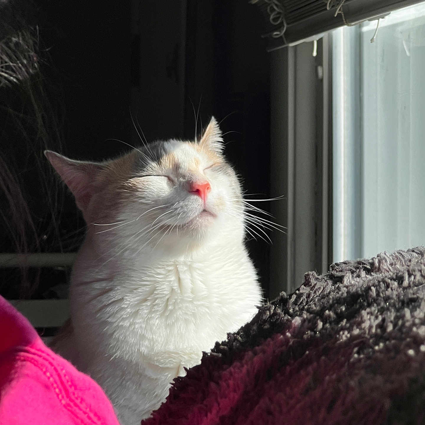 Pru