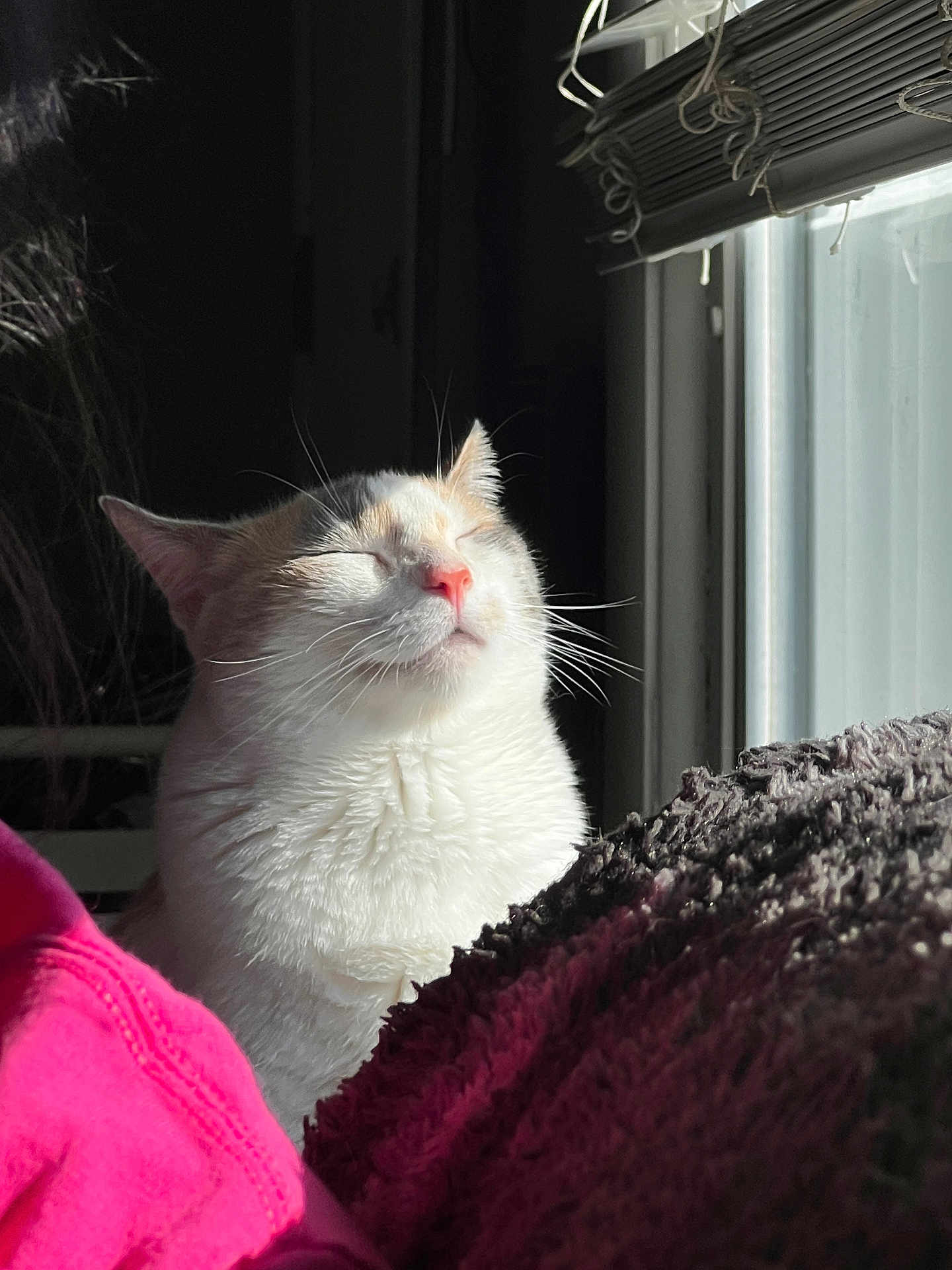 Pru