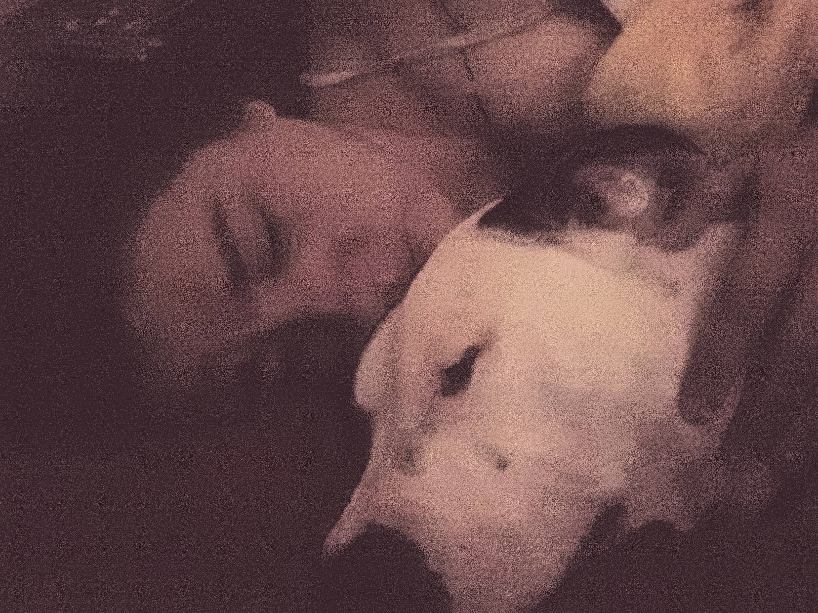 Rose Mae joined the competition — help win amazing prizes! american_bulldog, boxer, canidae, carnivore, cloud, companion_dog, dog, dog_breed, ear, head, love, meteorological_phenomenon, monochrome, non_sporting_group, nose, photograph, pit_bull, puppy, puppy_love, sky