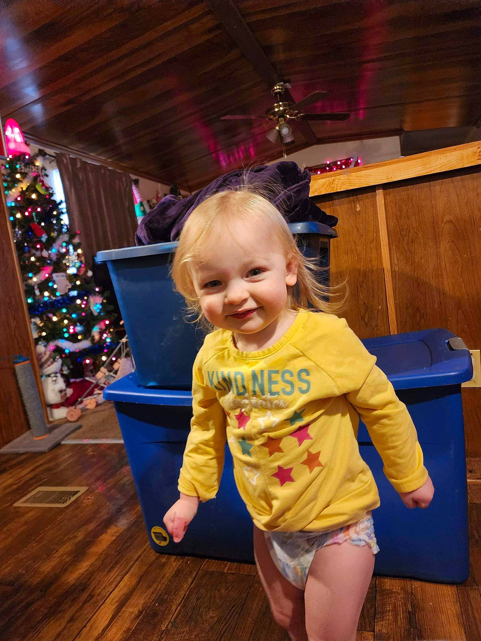 Emilia joined the competition — help win amazing prizes! baby, baby_toddler_clothing, child, event, flooring, fun, happy, hardwood, holiday, joy, laugh, leisure, party, person, play, room, smile, toddler, tree, vacation