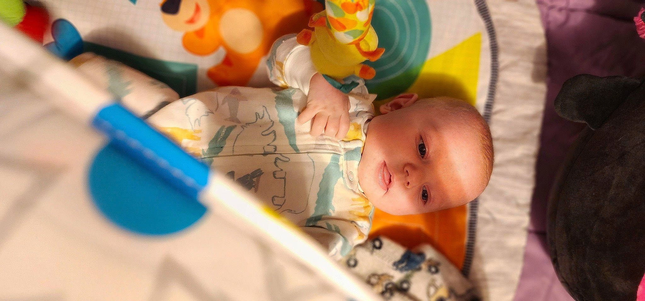 Luca is registered to the contest to win money with this photo: baby, baby_playing_with_toys, baby_products, baby_safety, baby_toddler_clothing, baby_toys, cheek, child, fun, happy, infant_bed, leisure, party_supply, person, plastic, play, room, skin, toddler, toy