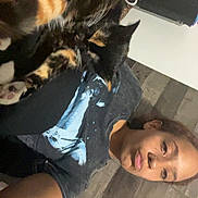 Loki joined the competition — help win amazing prizes! person, cat, calico_cat, lying_down, indoor, wooden_floor, relaxed, casual_clothing, tshirt, mug, radiator, pet, resting, feline, whiskers, paw, home, comfort, closeup, companion