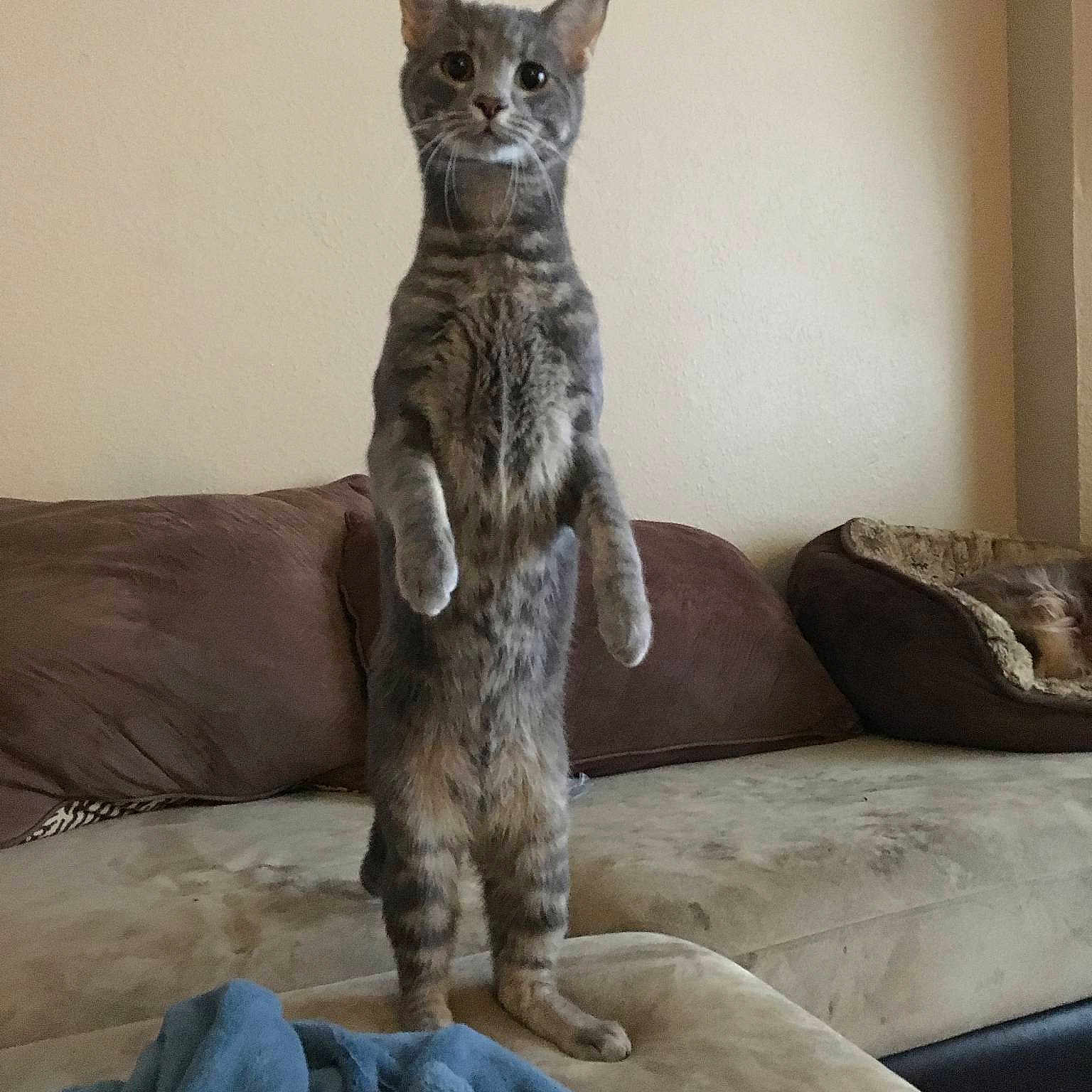 Ledger is registered to the contest to win money with this photo: