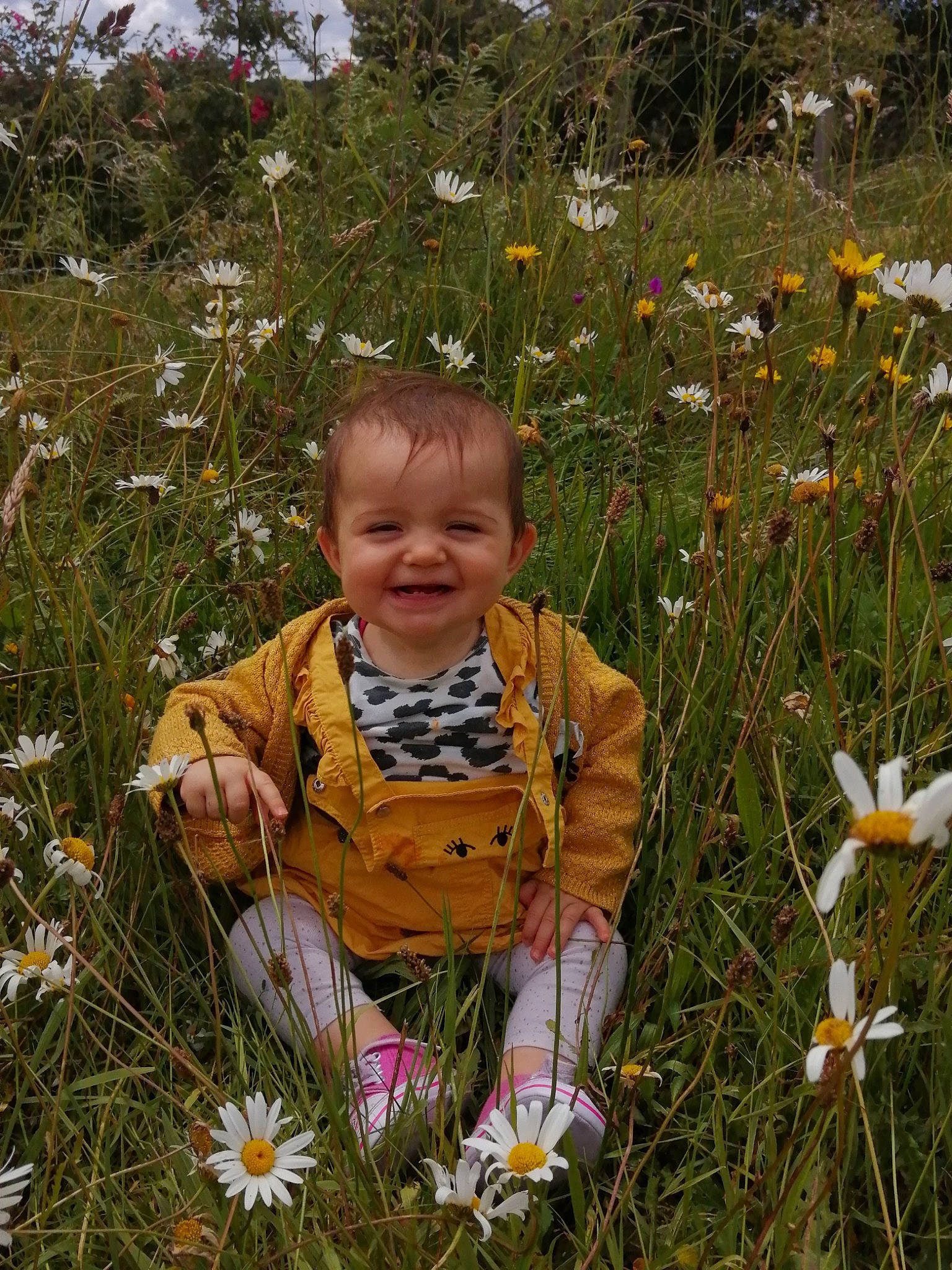 Aurore a rejoint le concours — aidez-le/la à gagner de superbes lots ! amaryllis_family, botany, child, daisy, daisy_family, flower, grass, grass_family, happy, joy, meadow, people_in_nature, perennial_plant, person, plant, smile, spring, terrestrial_plant, toddler, wildflower