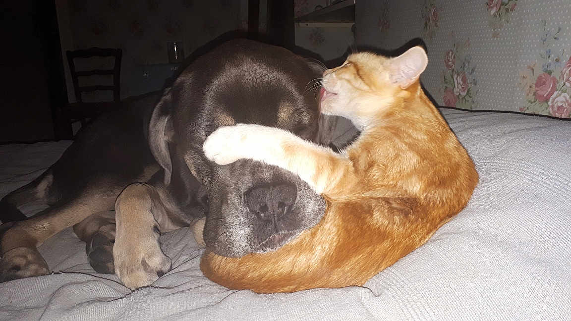Maxou