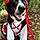 Norah