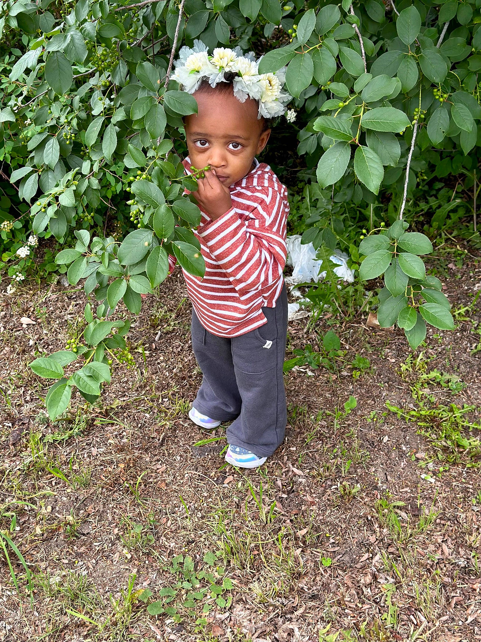 Mariah joined the competition — help win amazing prizes! baby, baby_toddler_clothing, botany, child, flower, flowering_plant, garden, grass, groundcover, happy, hat, leaf, people_in_nature, person, plant, shrub, smile, soil, sun_hat, terrestrial_plant