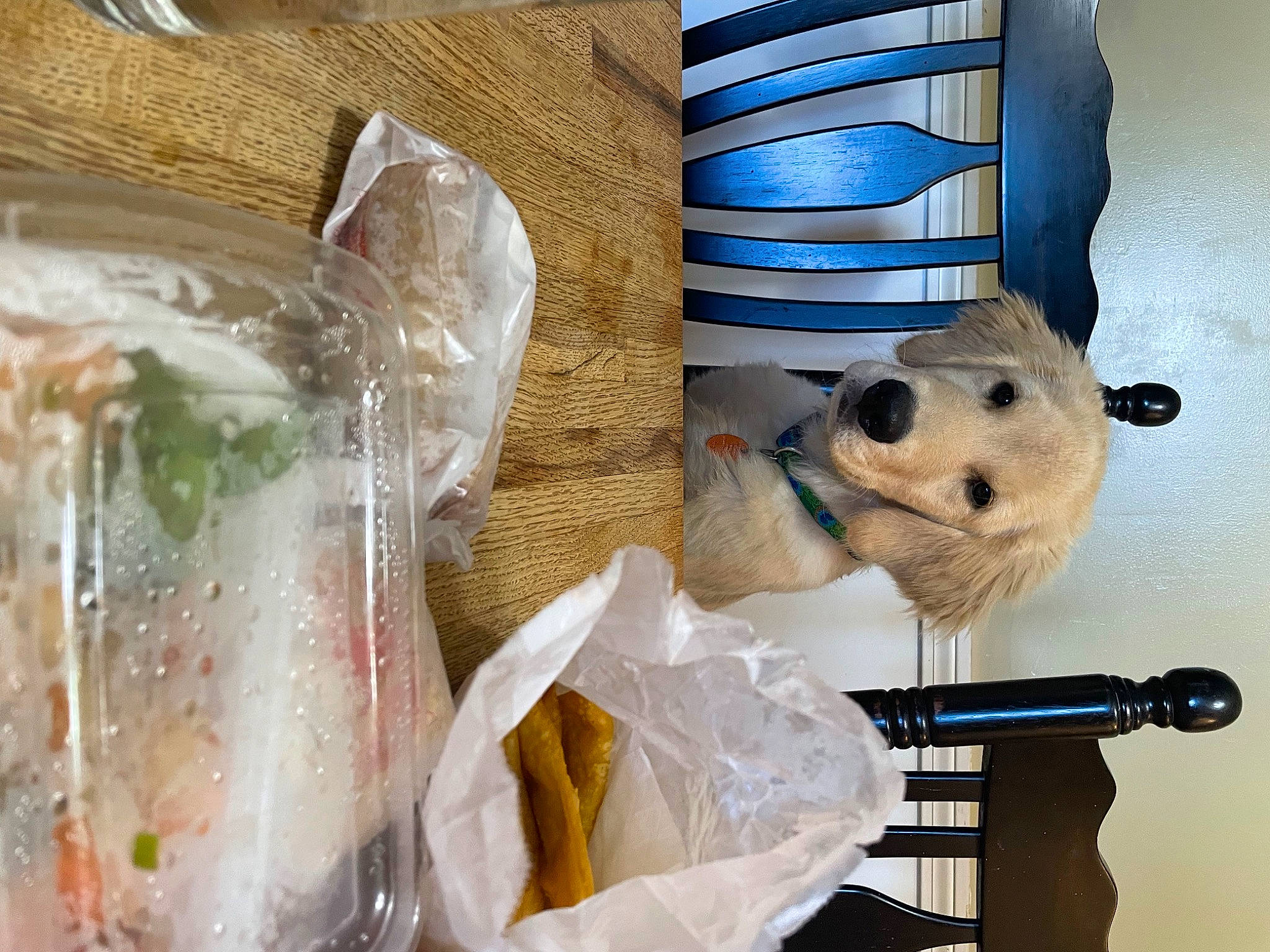 Butters joined the competition — help win amazing prizes! comfort_food, companion_dog, cuisine, dish, event, fast_food, food, ingredient, junk_food, oven_bag, plastic, plastic_bag, plastic_wrap, plush, recipe, room, stuffed_toy, tableware, teddy_bear, toy