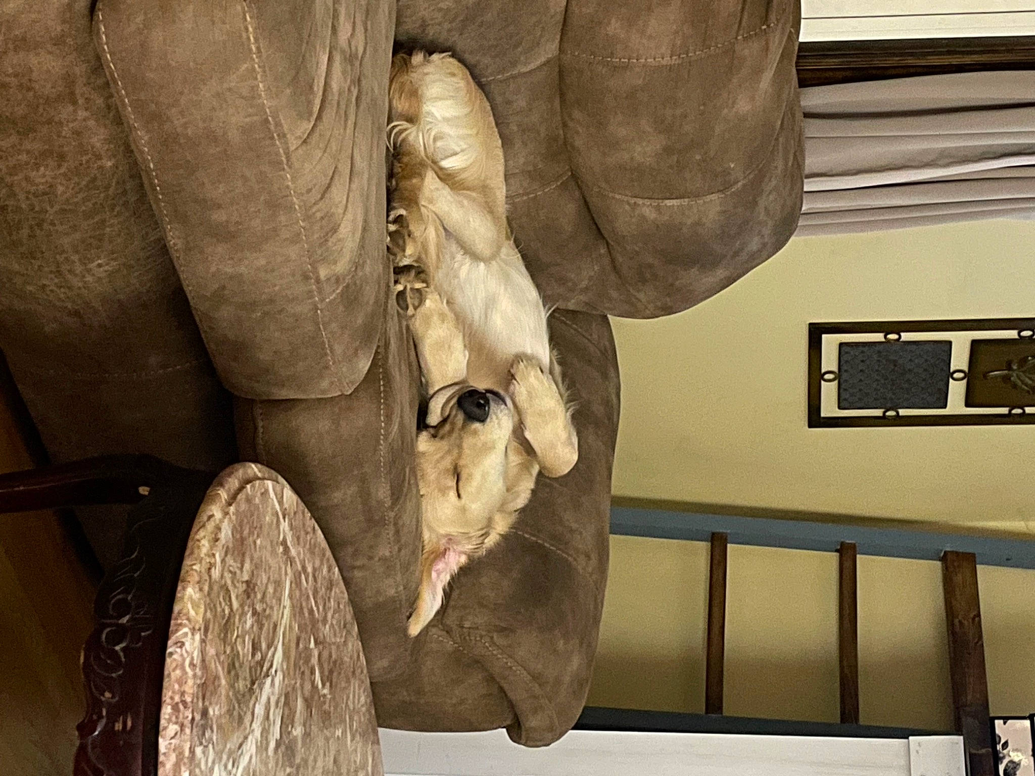 Butters is registered to the contest to win money with this photo: art, artifact, chair, gesture, history, human_leg, leg, metal, monochrome, monochrome_photography, picture_frame, room, vintage_clothing, visual_arts, wood, working_animal, wrist