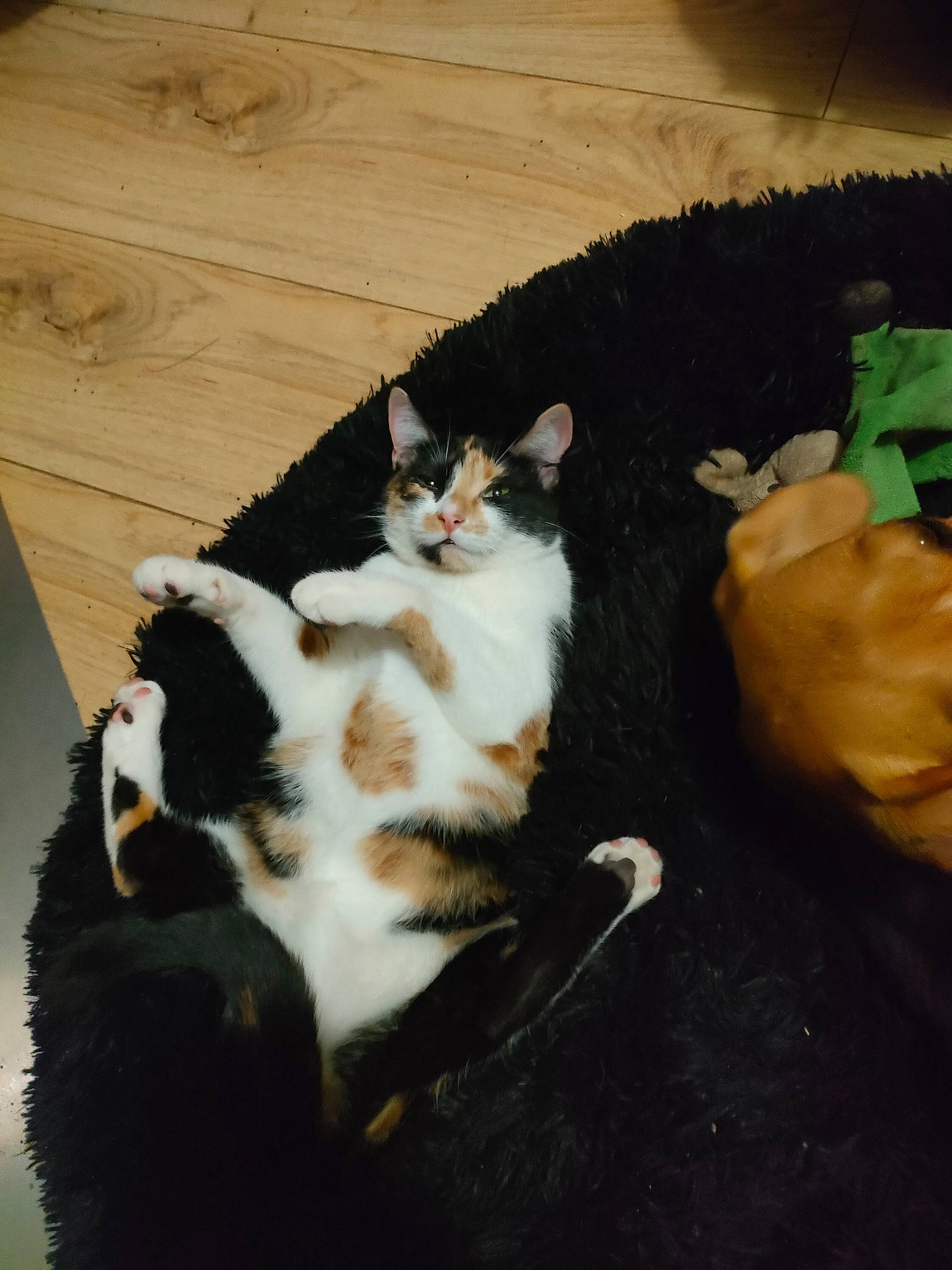 Binouze