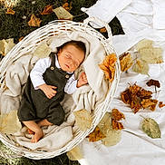 Sandro participe au concours pour gagner de l'argent avec cette photo : autumn_leaves, baby, basket, blanket, child, cozy, cute, fall, grass, infant, nature, newborn, outdoor, peaceful, portrait, relaxation, sleep, sleeping, soft_lighting, white_sheet