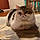 Duchess