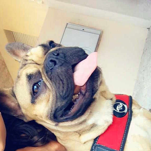 Leyko
