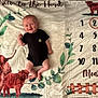 baby, infant, smiling, black_onesie, milestone_blanket, numbers, months, cow, calf, greenery, leaves, fence, lying_down, happy, cute, portrait, child, skin, face, newborn