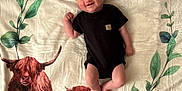 Knox joined the competition — help win amazing prizes! baby, infant, smiling, black_clothing, blanket, leafy_wreath, cow_illustration, calf, animal_art, fabric, person, lying_down, cute, child, indoors, soft_texture, head, skin, happy, portrait