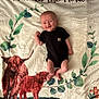 baby, infant, smiling, black_clothing, blanket, leafy_wreath, cow_illustration, calf, animal_art, fabric, person, lying_down, cute, child, indoors, soft_texture, head, skin, happy, portrait