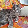 cat, tabby_cat, pet, animal, feline, indoor, resting, blanket, pillow, colorful, patterned, fur, whiskers, green_eyes, paw, cute, relaxed, cozy, home, stretching
