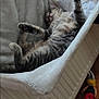 cat, tabby, sleeping, hammock, fluffy, paws, indoor, cozy, radiator, plush, blue, fur, relaxed, pet, home, wooden_floor, toy, doll, stretched, resting