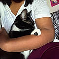 Sheena A.