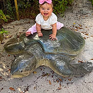 Allison joined the competition — help win amazing prizes! baby, infant, child, smiling, pink_bow, headband, turtle_statue, sculpture, sand, beach, plants, greenery, outdoors, sitting, hands, eyes, white_top, pink_pants, portrait, cute