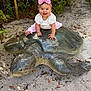 baby, infant, child, smiling, pink_bow, headband, turtle_statue, sculpture, sand, beach, plants, greenery, outdoors, sitting, hands, eyes, white_top, pink_pants, portrait, cute