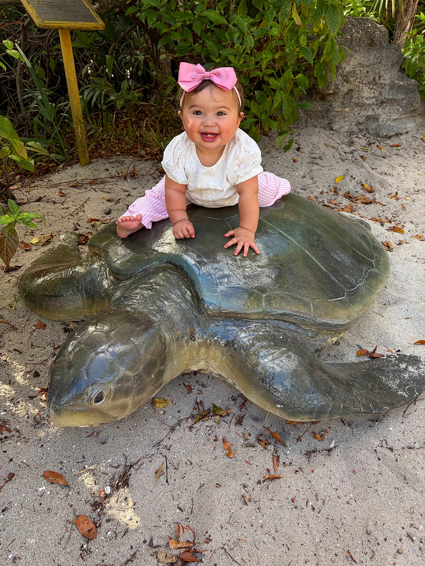 Allison joined the competition — help win amazing prizes! baby, infant, child, smiling, pink_bow, headband, turtle_statue, sculpture, sand, beach, plants, greenery, outdoors, sitting, hands, eyes, white_top, pink_pants, portrait, cute