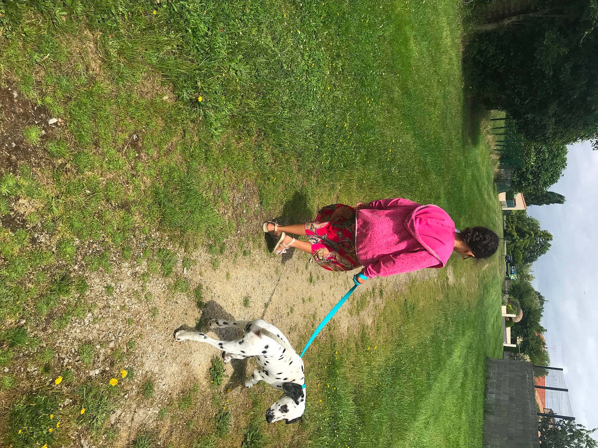 Tanos a rejoint le concours — aidez-le/la à gagner de superbes lots ! adventure, carnivore, dog, dog_breed, fun, grass, grass_family, grassland, green, landscape, lawn, leisure, people_in_nature, plant, recreation, shrub, sky, slope, sporting_group, tree