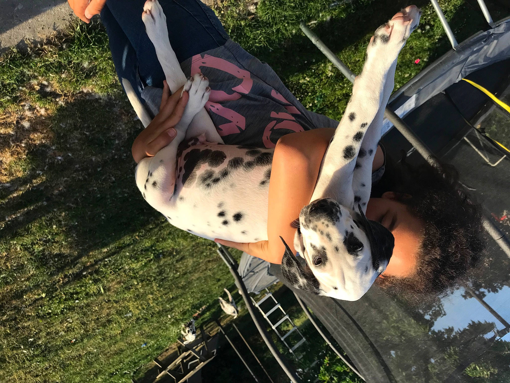 Tanos a rejoint le concours — aidez-le/la à gagner de superbes lots ! adventure, auto_part, automotive_exterior, automotive_window_part, fun, grass, human_leg, knee, leisure, outdoor_play_equipment, plant, public_event, recreation, soil, sport_climbing, thigh, tree, vehicle_door, windshield