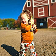 Xayna is registered to the contest to win money with this photo: toddler, child, pumpkin_pants, orange_sweater, cornstalks, farm, barn, red_barn, outdoor, sunny, shadow, gravel, smiling, happy, fall, autumn, cute, portrait, young_child, playful
