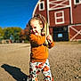 toddler, child, pumpkin_pants, orange_sweater, cornstalks, farm, barn, red_barn, outdoor, sunny, shadow, gravel, smiling, happy, fall, autumn, cute, portrait, young_child, playful