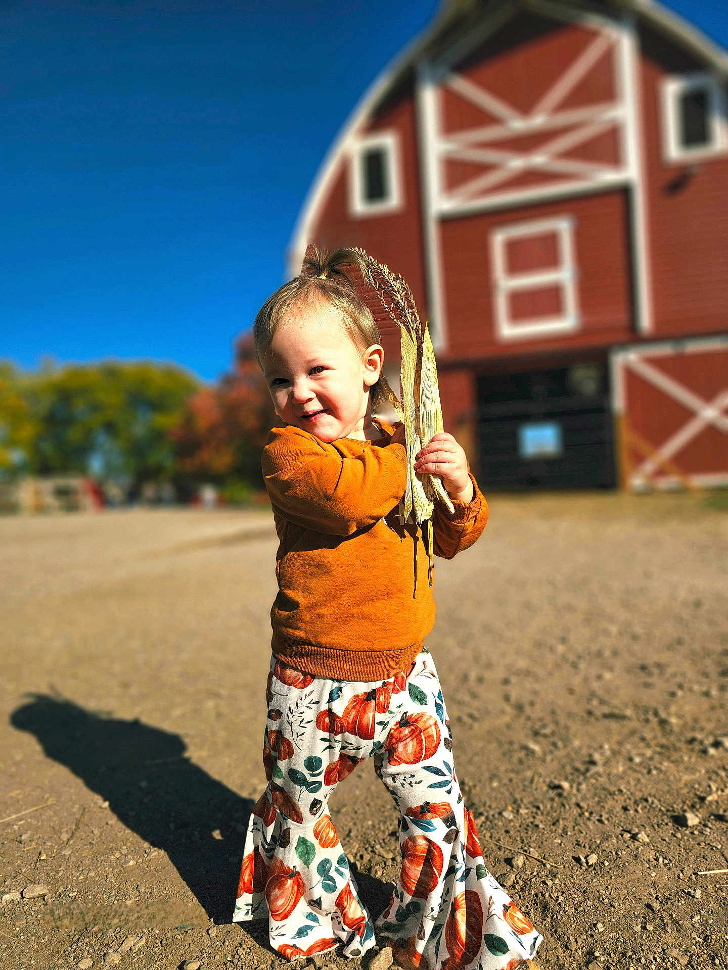 Xayna is registered to the contest to win money with this photo: toddler, child, pumpkin_pants, orange_sweater, cornstalks, farm, barn, red_barn, outdoor, sunny, shadow, gravel, smiling, happy, fall, autumn, cute, portrait, young_child, playful