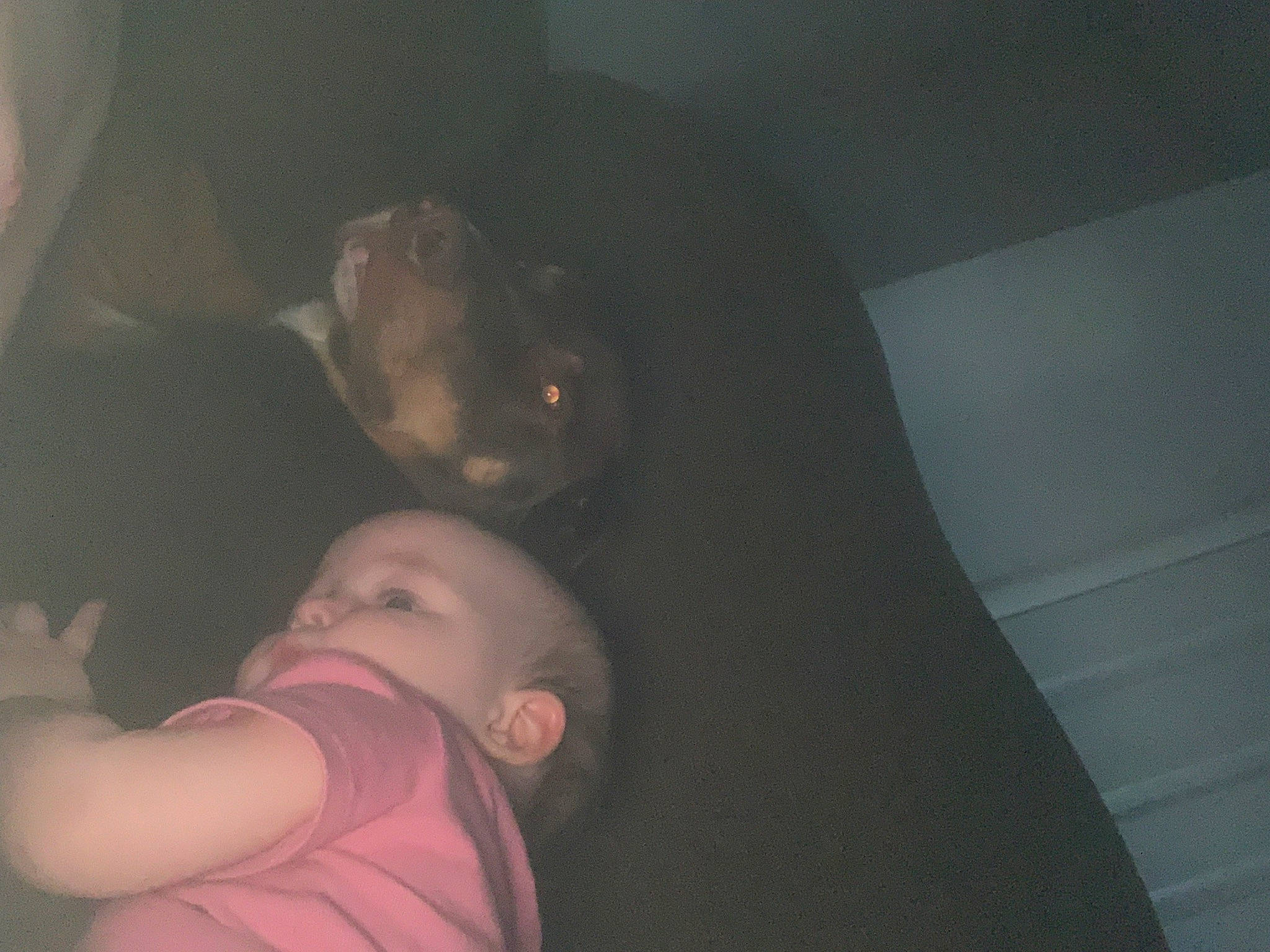 Max is registered to the contest to win money with this photo: baby, child, comfort, darkness, ear, elbow, flash_photography, flesh, fun, gesture, happy, magenta, midnight, mouth, night, nose, room, sitting, skin, toddler