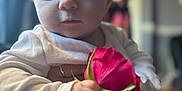 Alyssa joined the competition — help win amazing prizes! baby, rose, flower, hand, person, blurred_background, indoor, soft_light, portrait, child, cute, holding, gentle, focus, closeup, skin, expression, adult, love, family