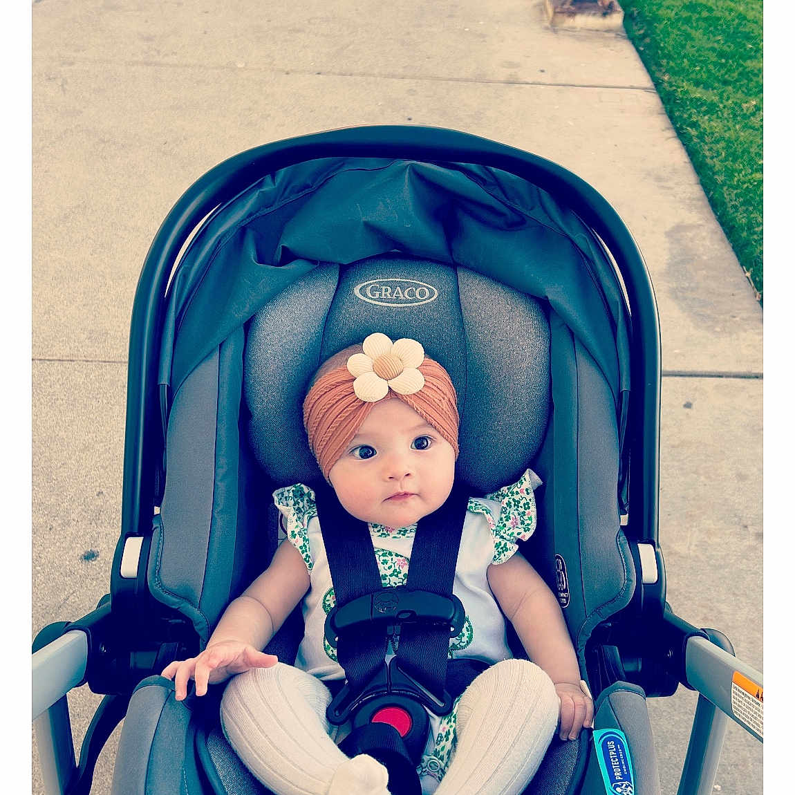 Sinéad joined the competition — help win amazing prizes! baby, car_seat, child, curious, cute, floral_outfit, flower_headband, grass, gray, headwear, infant, outdoor, person, seat_belt, sidewalk, sitting, stroller, white_tights, wide_eyes, young_child