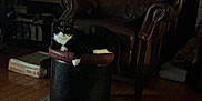 Slick is registered to the contest to win money with this photo: animal, black_and_white, book, cat, cozy, dim_light, domestic_cat, floor, furniture, home, indoor, leather_chair, living_room, mammal, ottoman, pet, relaxed, resting, tuxedo_cat, wood_floor