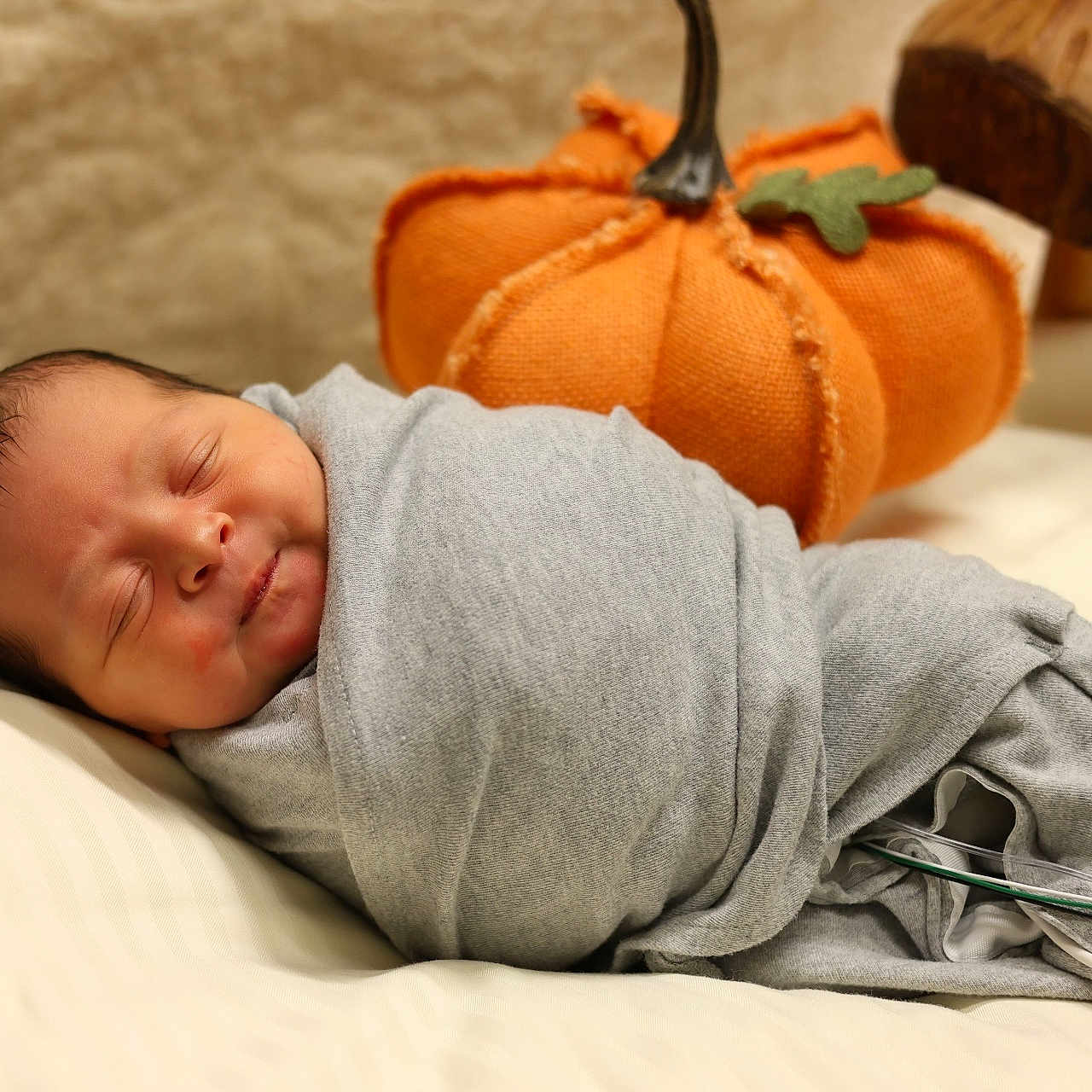 Domonick joined the competition — help win amazing prizes! baby, blanket, child, cozy, cute, gray, indoors, infant, mushroom, newborn, orange, peaceful, pillow, portrait, pumpkin, resting, sleeping, soft, swaddled, wooden