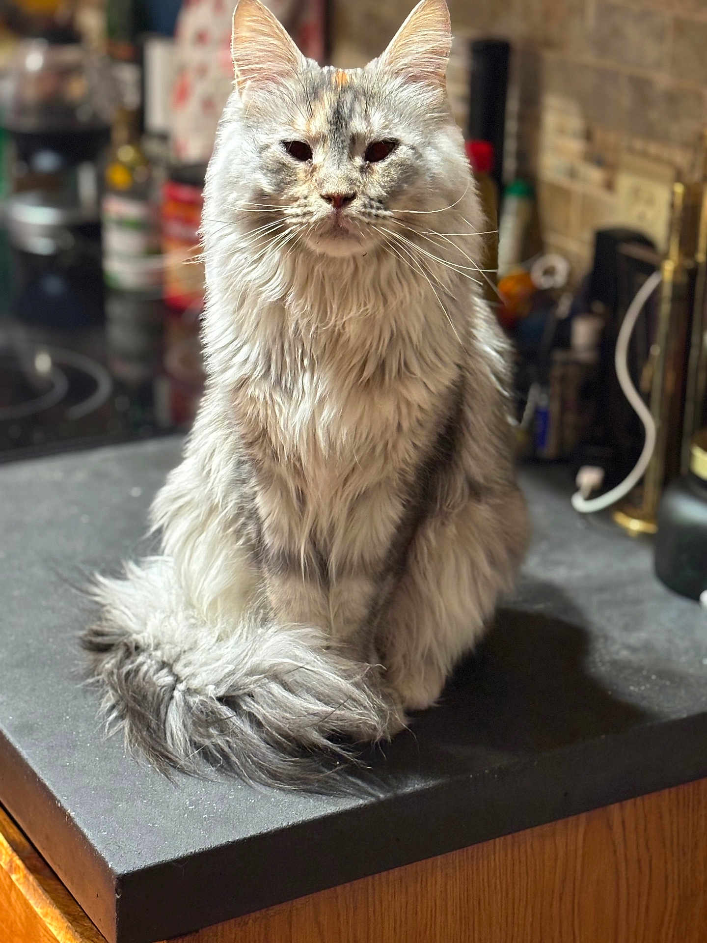 Peanut