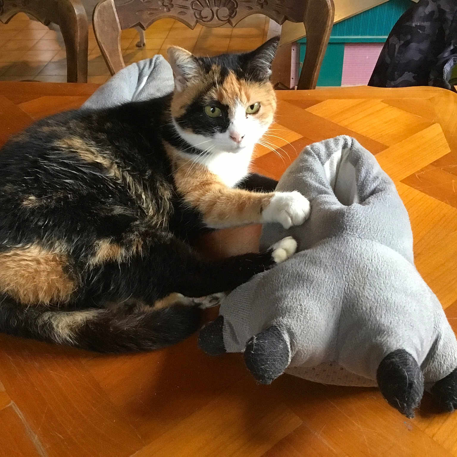 Mimi