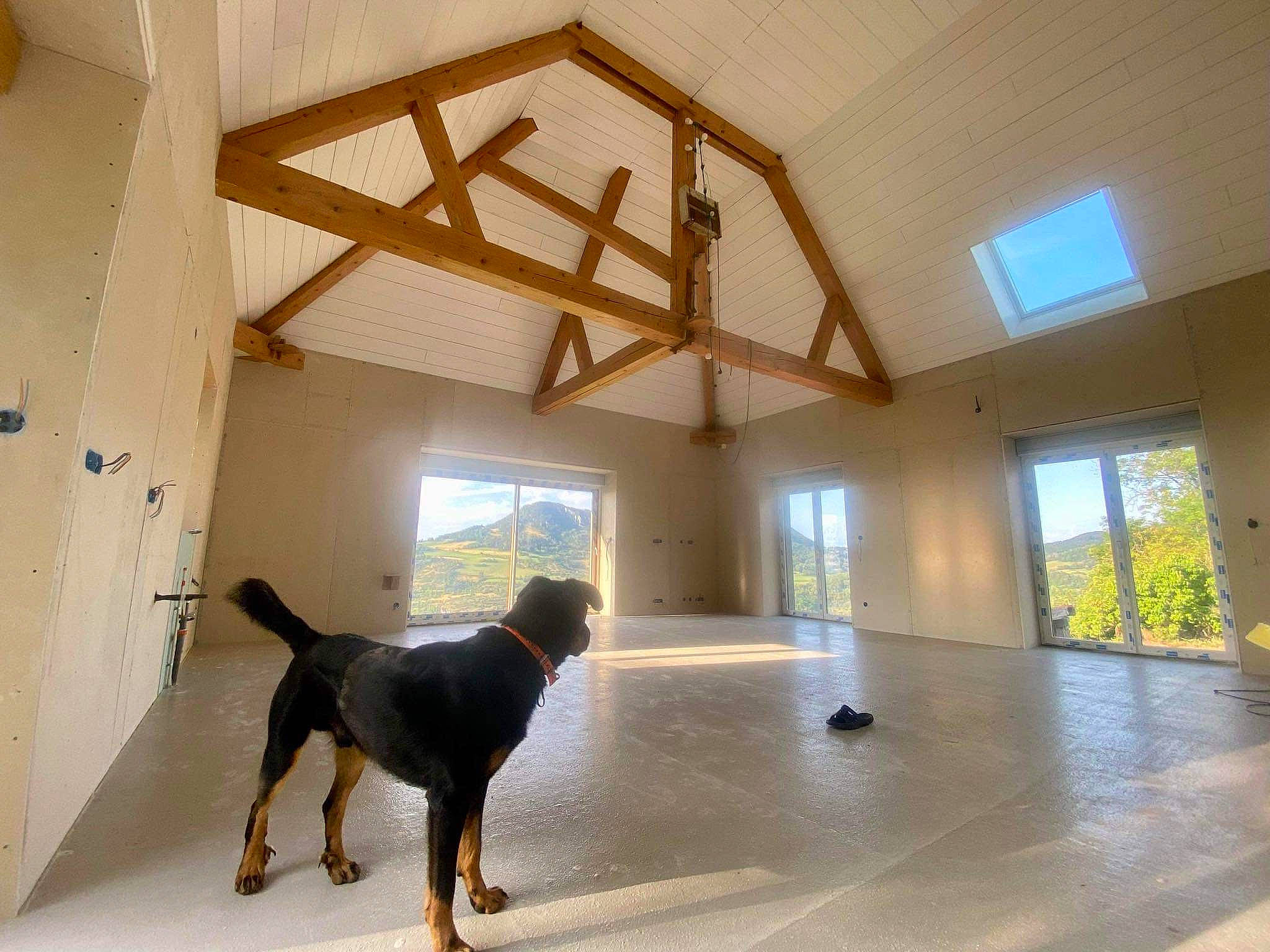 Jackson a rejoint le concours — aidez-le/la à gagner de superbes lots ! attic, beam, building, carnivore, ceiling, companion_dog, dog, dog_breed, fixture, floor, flooring, hall, hardwood, house, interior_design, shade, sporting_group, window, wood, wood_stain
